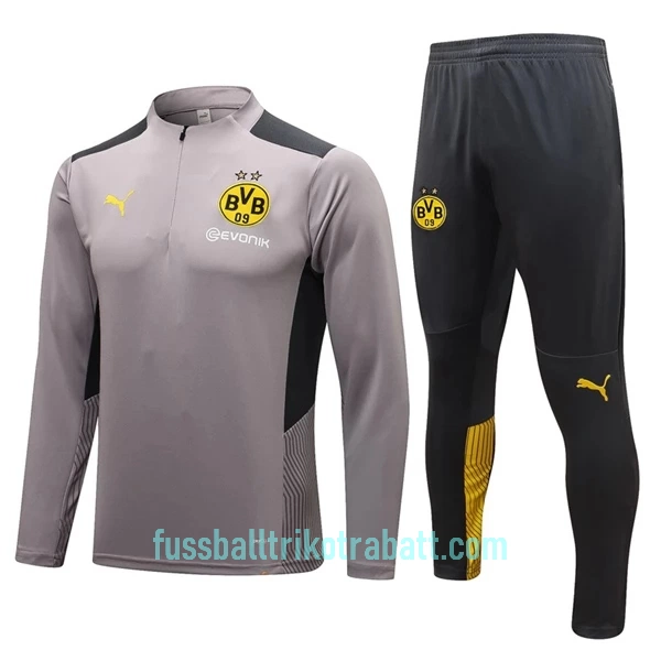 BVB Borussia Dortmund Sweatshirts Anzüge 2022/23 Viertelreißverschluss Hellgraue