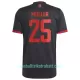 Günstige FC Bayern München Muller 25 Herrentrikot Ausweich 2022/23 Kurzarm