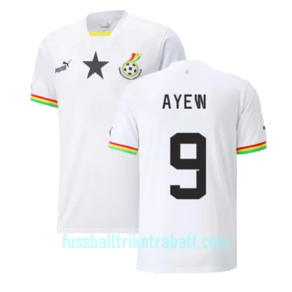 Günstige Ghana Ayew 9 Herrentrikot Heim Jordan WM 2022 Kurzarm