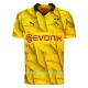 Günstige Borussia Dortmund Cup Herrentrikot 2023/24 Kurzarm