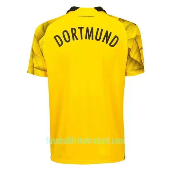 Günstige Borussia Dortmund Cup Herrentrikot 2023/24 Kurzarm