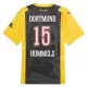 Günstige Borussia Dortmund Hummels 15 Herrentrikot Jubiläum 2023/24 Kurzarm