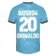 Günstige Bayer 04 Leverkusen Alejandro Grimaldo 20 Herrentrikot Ausweich 2023/24 Kurzarm