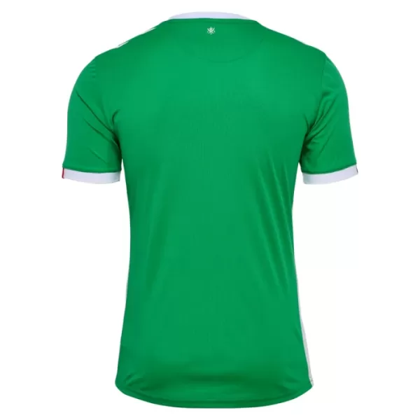 Günstige AS AS Saint-Étienne Herrentrikot Heim 2024/25 Kurzarm