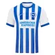 Günstige Brighton Hove Albion Herrentrikot Heim 2024/25 Kurzarm