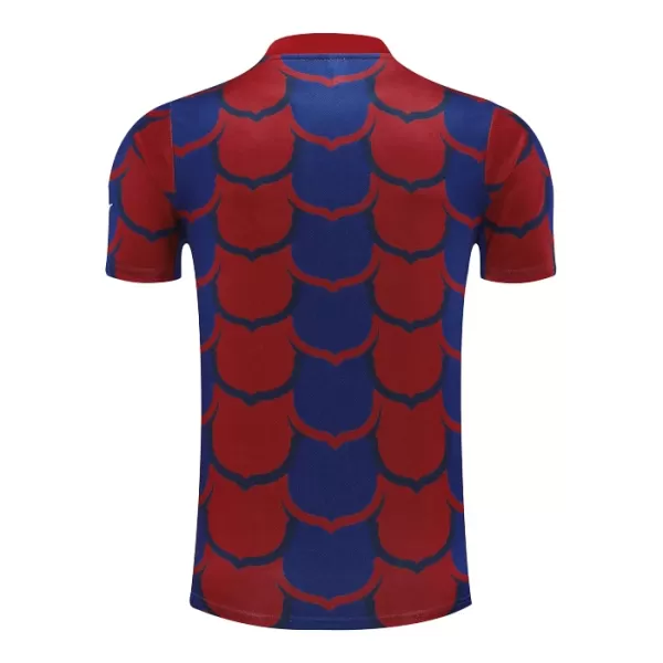 Günstige Barcelona Pre-Match Herrentrikot 2024/25 Kurzarm