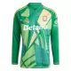 Günstige Aston Villa Torwart Herrentrikot 2024/25 Langarm Grüne