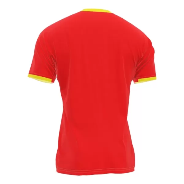 Günstige Guinea Herrentrikot Heim 2024 Kurzarm