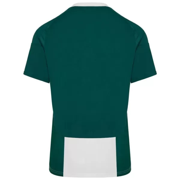 Günstige Panathinaikos FC Herrentrikot Heim 2024/25 Kurzarm