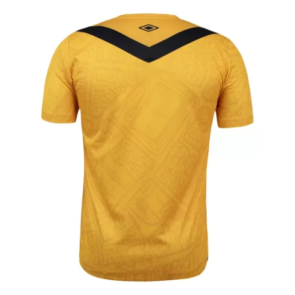 Günstige Santos FC Herrentrikot Ausweich 2024/25 Kurzarm