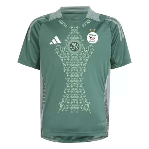 Günstige Nigeria Herrentrikot 2024 Kurzarm Grüne - Speziell